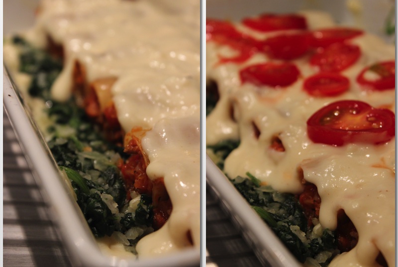 IMG Cannelloni mit Spinat 1