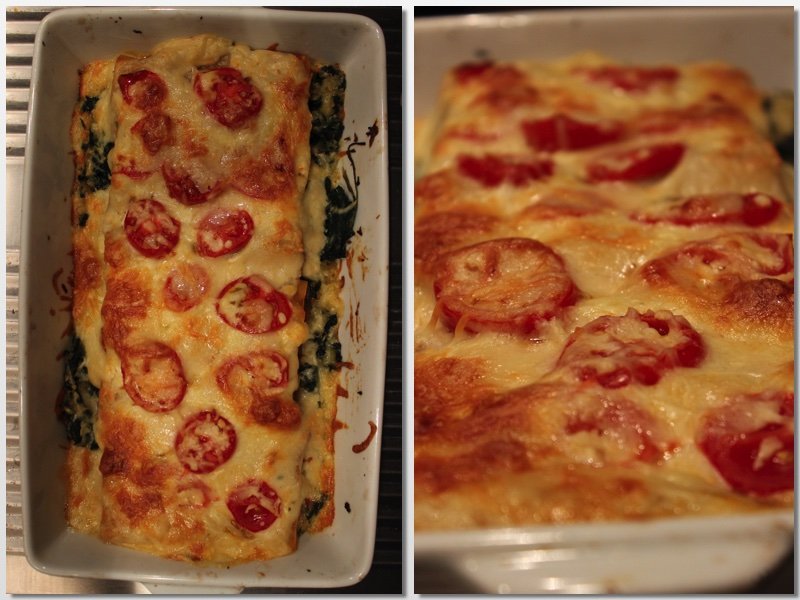 Cannelloni alla Bolognese mit iglo Blattspinat