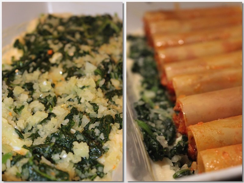 Leckere Cannelloni alla Bolognese mit Blattspinat Rezept 1