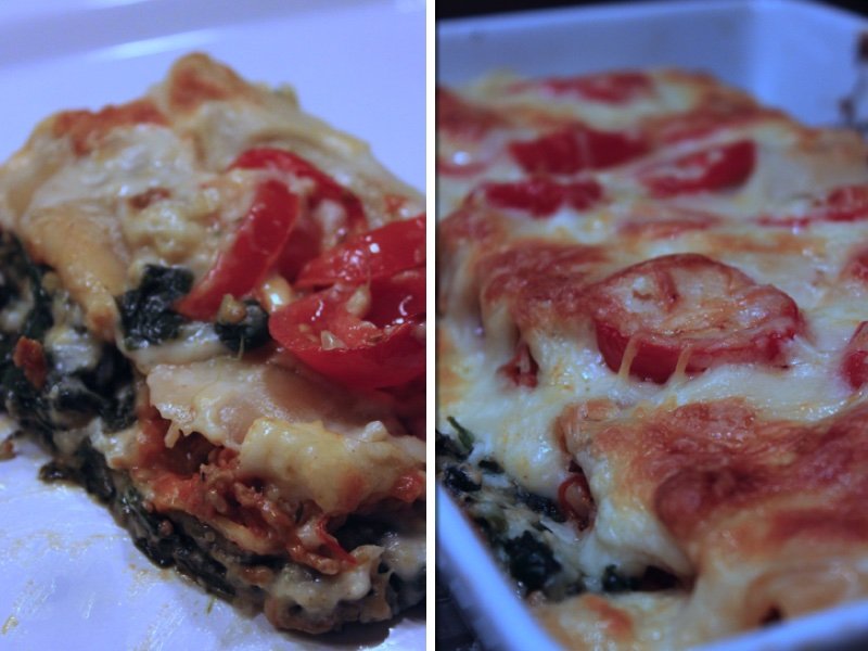 Cannelloni alla Bolognese mit iglo Blattspinat