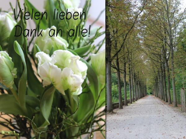 Img_ danke an alle