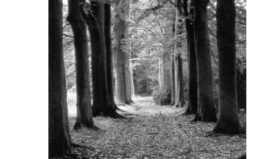 Ich mache eine blogpause wegen eines trauerfall... 1
