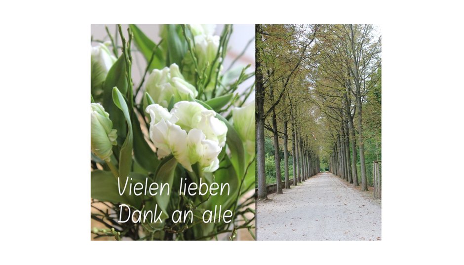 Ich bin wieder da - danke an alle für eure lieben worte 1