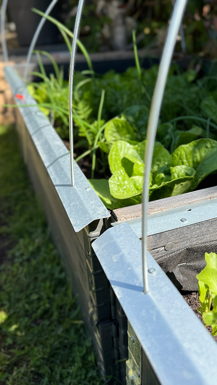 Hochbeet selber bauen mit Upyard -Schneckenkante