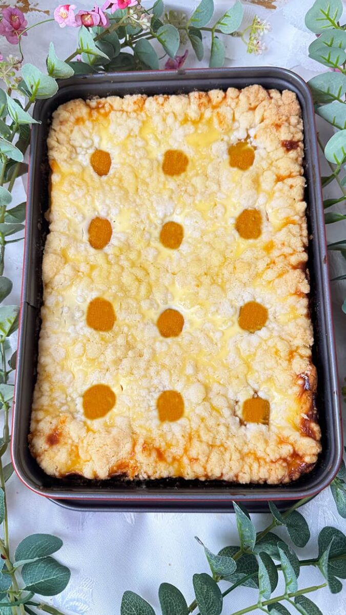 Saftiger Aprikosenkuchen mit Schmand und Streusel: Omas einfaches ... Saftiger Aprikosenkuchen mit Schmand und Streusel: Omas einfaches ...