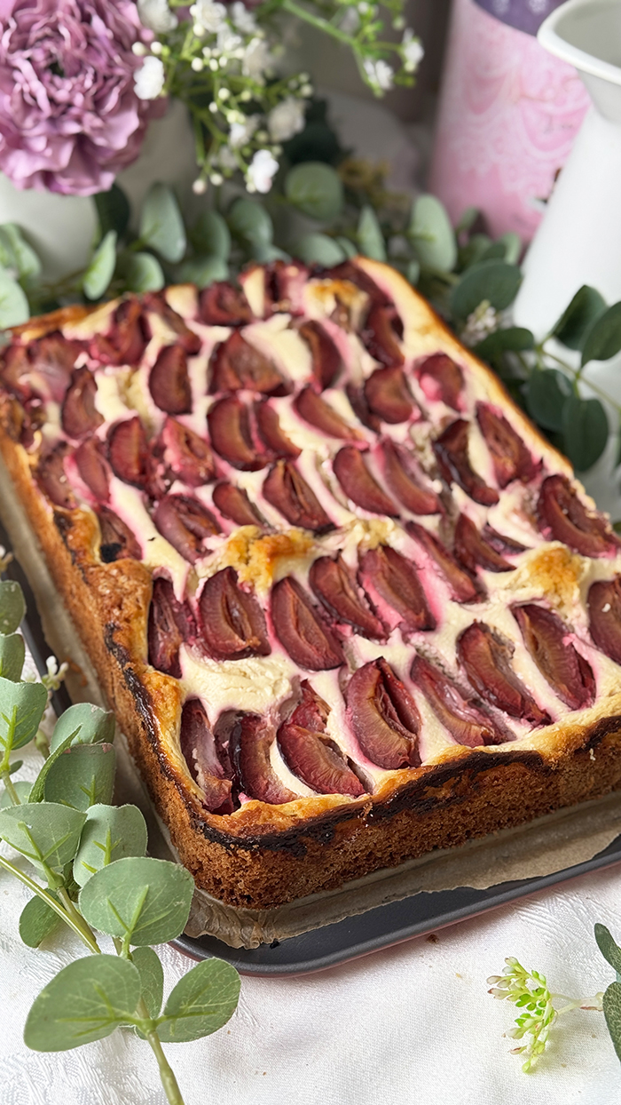 Einfaches Pflaumen-Cheesecake vom Blech Rezept: 1 A fruchtig und so cremig