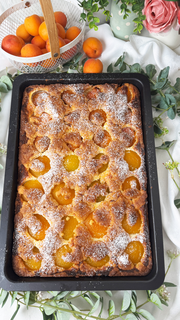 Österreichischer Marillen-Streuselkuchen vom Blech - Omas bestes Rezept 2 Österreichischer Marillenkuchen vom Blech mit saftigen Aprikosen auf einem gedeckten Kaffeetisch,