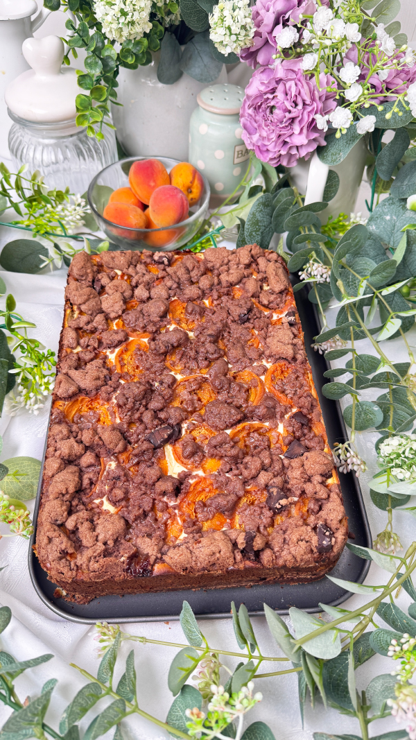 Saftiger Aprikosenkuchen mit Quark und Schokostreuseln nach Omas Art 2 Aprikosenkuchen mit Quark und Schokostreuseln