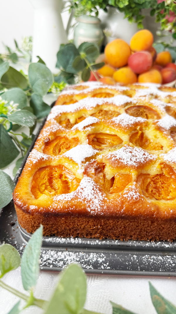 Saftiger Aprikosenkuchen mit Joghurt vom Blech einfach so lecker 4 Saftiger Aprikosenkuchen mit Joghurt vom Blech einfach so lecker 4