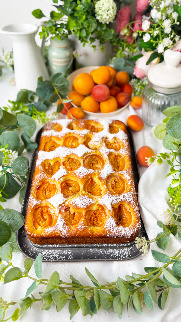Saftiger Aprikosenkuchen mit Joghurt vom Blech einfach so lecker 1 Saftiger Aprikosenkuchen mit Joghurt vom Blech einfach so lecker 1