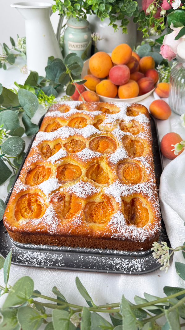 Saftiger Aprikosenkuchen mit Joghurt vom Blech einfach so lecker 7 Saftiger Aprikosenkuchen mit Joghurt vom Blech einfach so lecker 6