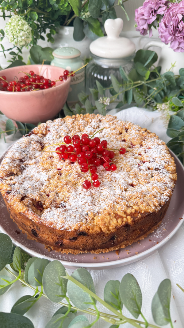 Johannisbeerkuchen mit Quark und Streuseln, cremig & fruchtig 6 Johannisbeerkuchen mit Quark und Streuseln, mit Puderzucker und frischen roten Johannisbeeren dekoriert