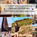 IMG  Rheinhessen geniessen Tour TL