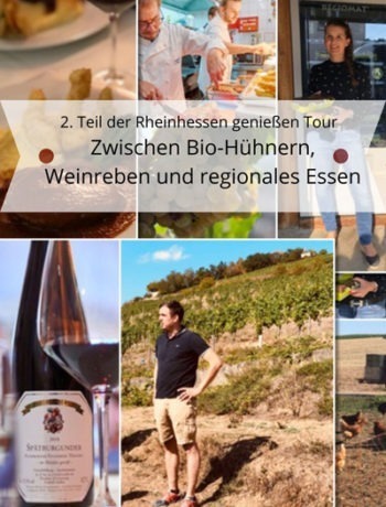 2. Teil der rheinhessen genießen tour | zwischen bio-hühnern, weinreben und regionales essen 3