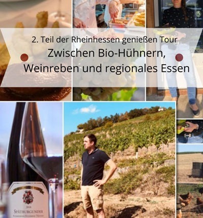 2. Teil der Rheinhessen genießen Tour | Zwischen Bio-Hühnern, Weinreben und regionales Essen 5