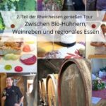 IMG 2. Teil der Rheinhessen geniessen Tour Zwischen Bio Huehnern Weinreben und regionales Essen TL