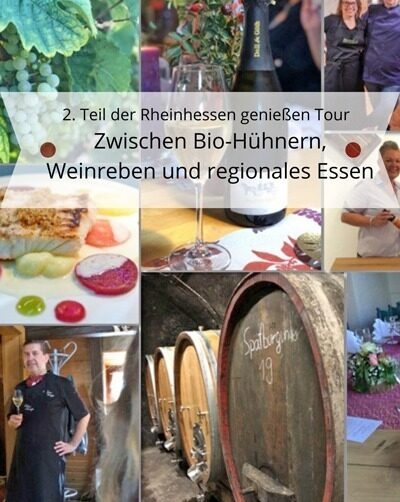 IMG 2. Teil der Rheinhessen geniessen Tour Zwischen Bio Huehnern Weinreben und regionales Essen TL