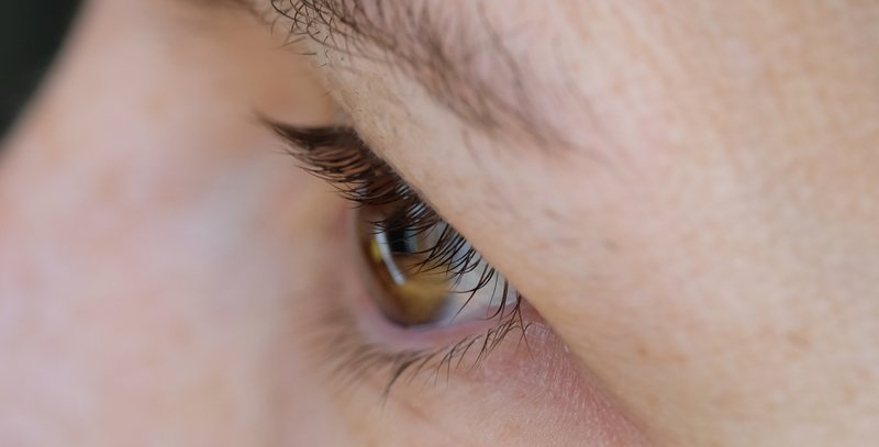 Wimpernserum Baela Teint Perfektion nach 8 Wochen