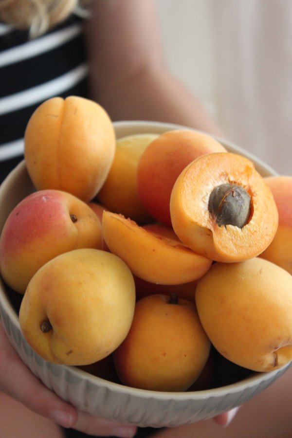 Aprikosen-mascarpone zopf mit streuseln