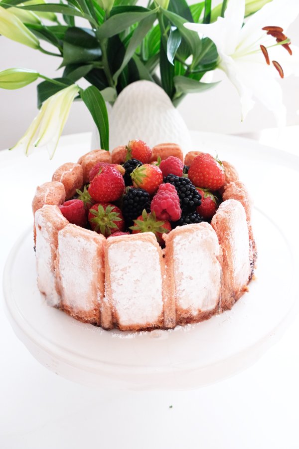 Charlotte au chocolat mit Biskuits Roses de Reims mit Hagen Grote