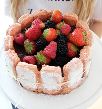 IMG Charlotte au chocolat mit Biskuits Roses de Reims tl