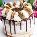 IMG Cookie Torte Rezepte 01