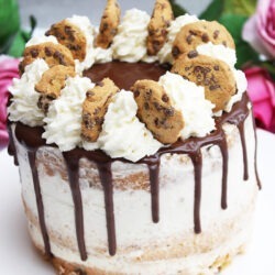 IMG Cookie Torte Rezepte 01
