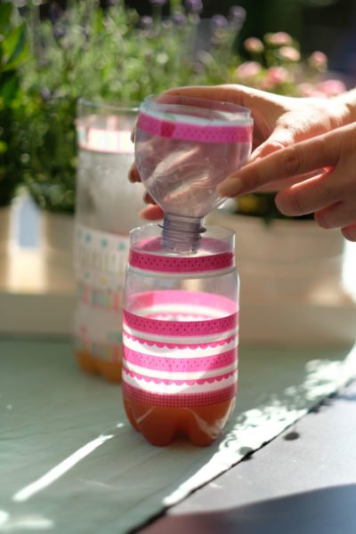 Wespenfalle DIY- Wie man mit einer PET-Flasche eine Falle baut 1