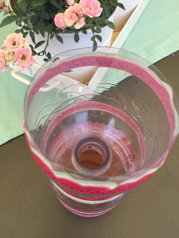 DIY- Wie man mit einer PET-Flasche eine Wespenfalle baut