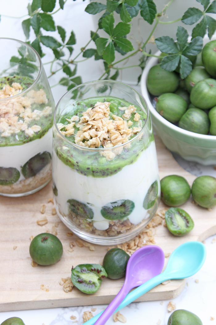 Dessert im glas mit kiwi, kokosjoghurt, grenola