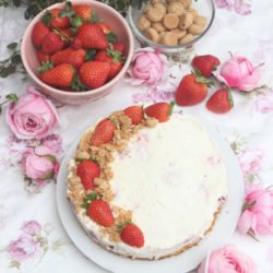 IMG Erdbeer Joghurttorte mit Amarettini No Bake bearbeitet 1