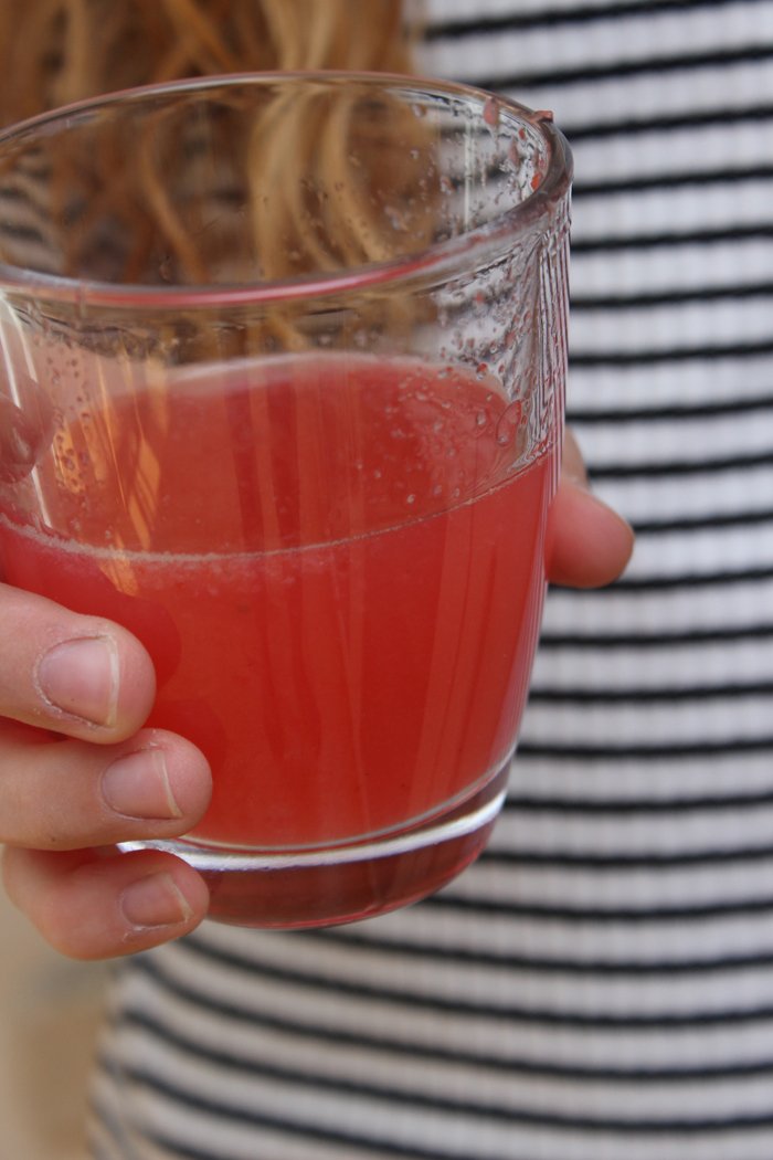 Erdbeer-Zitronen-Limonade selber machen ohne Zucker