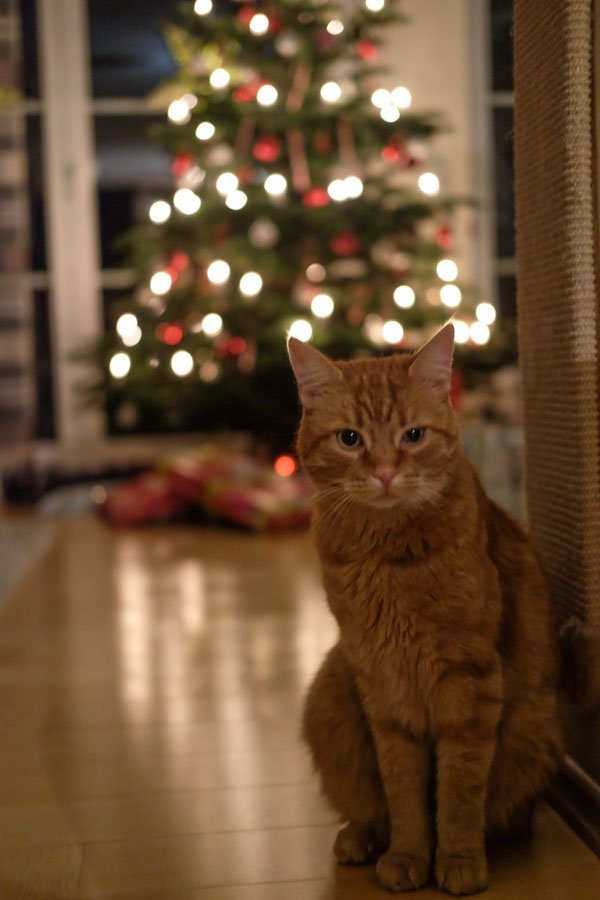 Weihnachten 2017 Weihnachten 2017