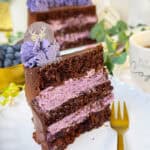 Himmlische Heidelbeertorte mit Schokolade