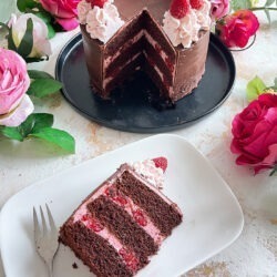 IMG Himbeer Schokoladen Torte TL