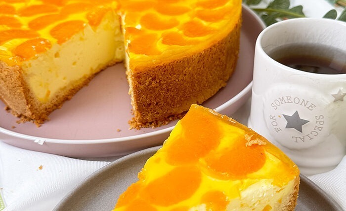 IMG Mandarinen Schmand Kuchen Rezept TL