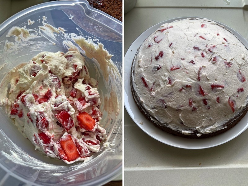 Maulwurfkuchen mit Erdbeeren