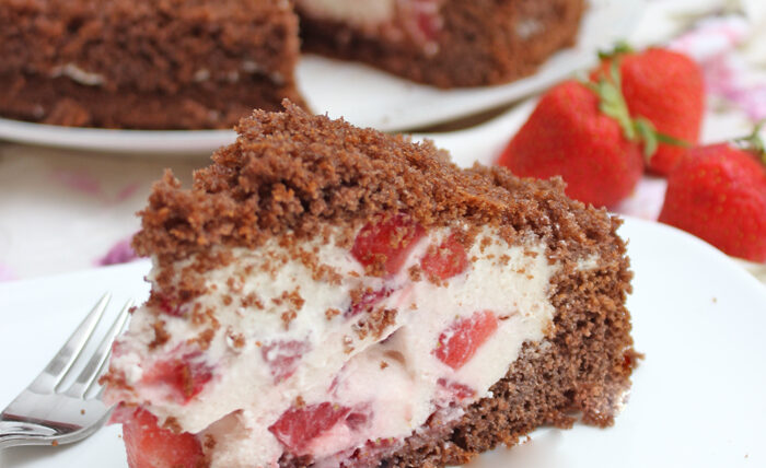 Erdbeer-Skyr-Torte ohne Backen – Mega lecker