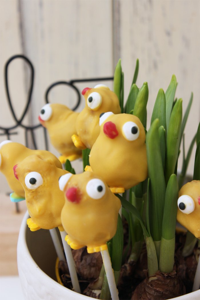 So einfach machst du Osterküken-Cake Pops zu Ostern