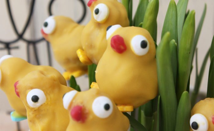 IMG Osterküken Cake Pops zu Ostern 1