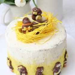 IMG Ostertorte mit Jungborn 3