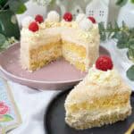 IMG Raffaello Torte Rezept mit Himbeer Deko 07
