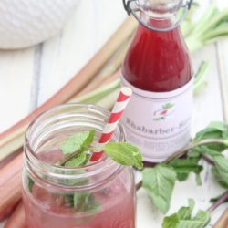 Rhabarber-sirup rezept selbstgemacht 2