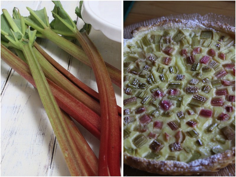Rhabarber-Vanille-Tarte schnell und einfach gemacht