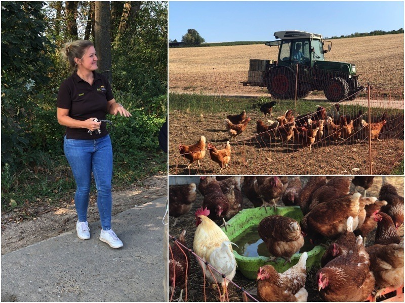 Rheinhessen genießen - Der zweiter Tag 