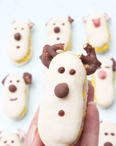 IMG Rudolf Macarons 07 bearbeitet 1