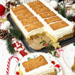 IMG Spekulatius Kuchen mit Apfel vom Blech ohne Backen 08