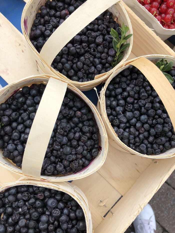 Waldheidelbeeren