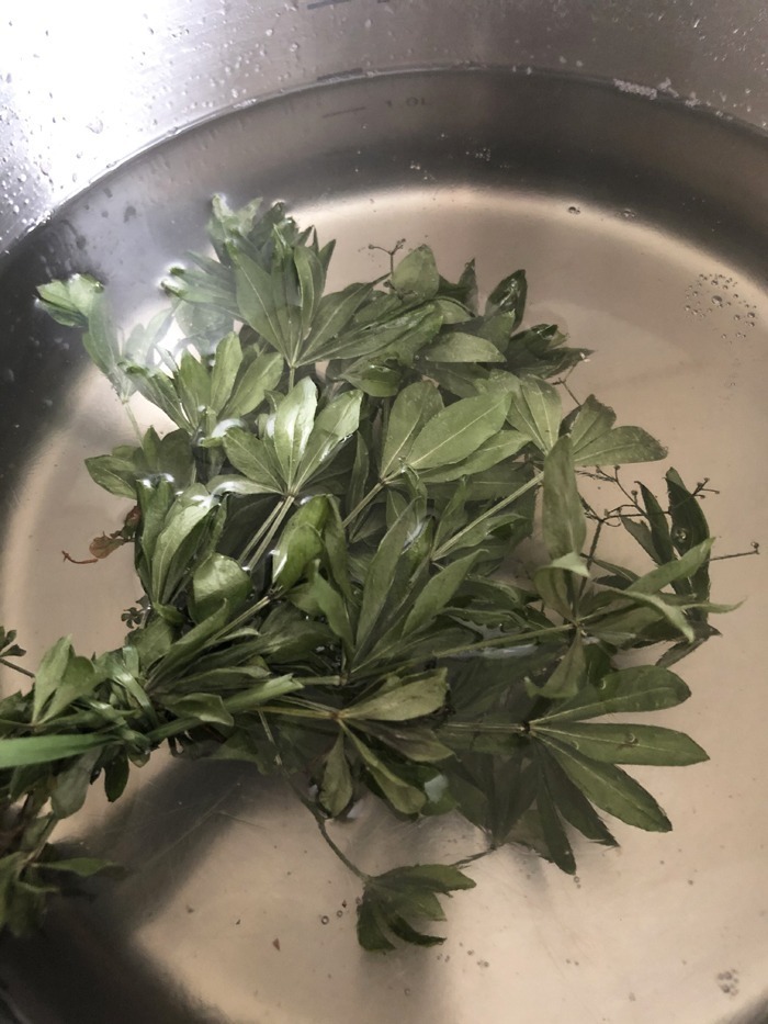 Waldmeistersirup rezept zum selbermachen