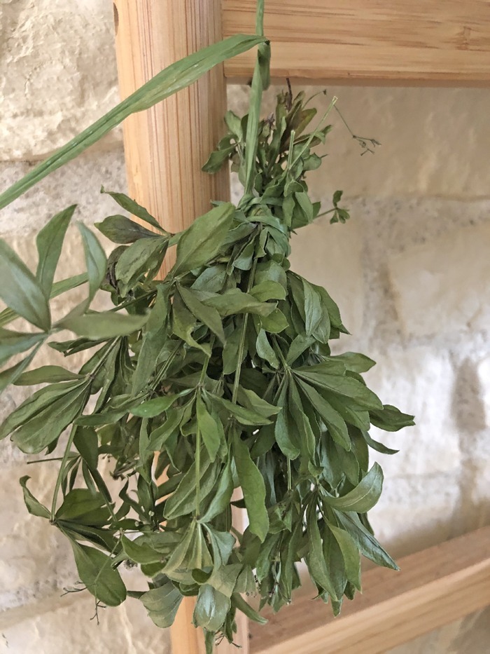 Waldmeistersirup rezept zum selbermachen